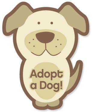 dogs adoption