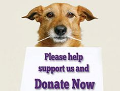 animal rescue donations